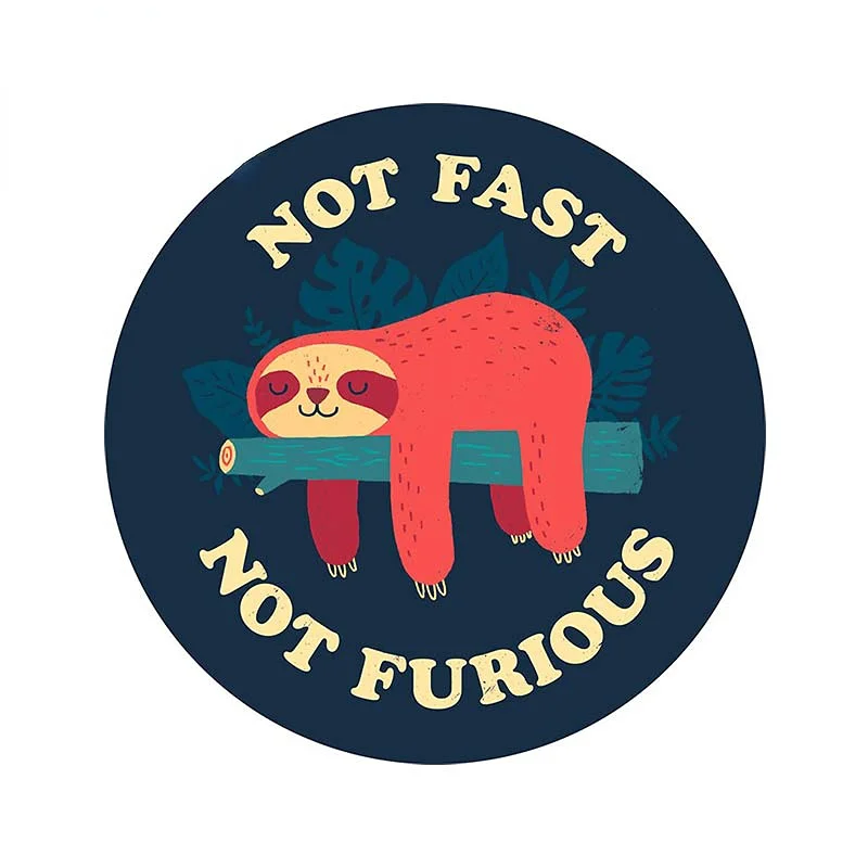 13cm Not Fast Not Furious 트렁크  - Car Accessories On Amazon 리뷰 및 가격